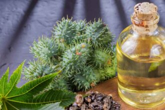 Practical Reasons to Stock a Bottle of Castor Oil at Home