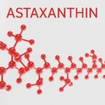 Research on Astaxanthin Demonstrates Significant Whole Body Benefits