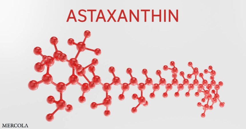 Research on Astaxanthin Demonstrates Significant Whole Body Benefits