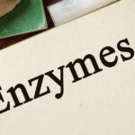 The Importance of Enzymes for Health, Longevity and Chronic Disease Prevention