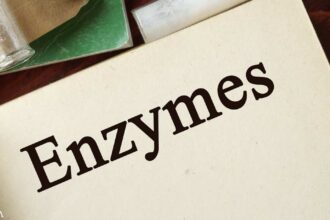 The Importance of Enzymes for Health, Longevity and Chronic Disease Prevention