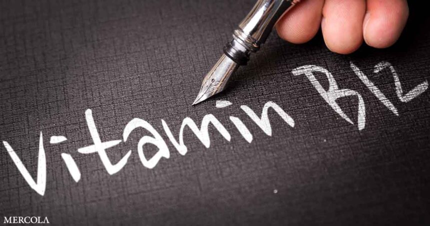 Vitamin B12 Is Key for Optimal Tissue Regeneration