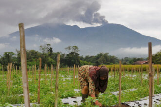 Volcanic Eruption Kills at Least 11 Hikers in Indonesia