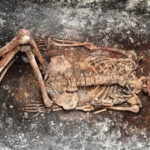 Ancient Skeletons Give Clues to Modern Medical Mysteries