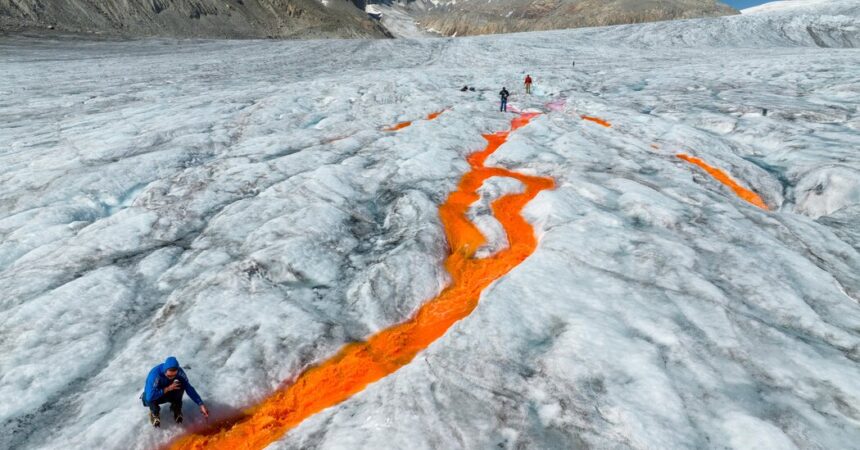 As Switzerland’s Glaciers Shrink, a Way of Life May Melt Away