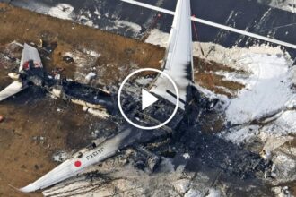 Charred Remains of Japan Airlines Plane Crash