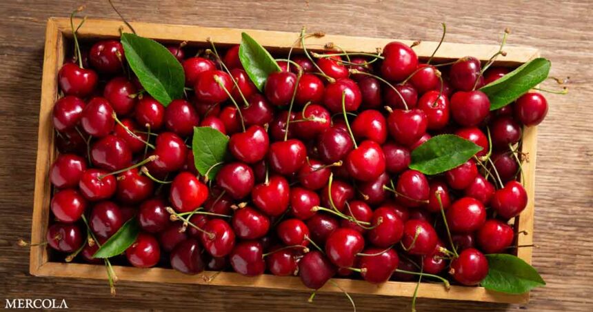 Cherries - A Potent Super Food