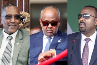 Djibouti/Ethiopia : Ethiopian MoU sours Djibouti-Somaliland relations