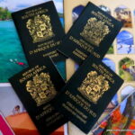 South Africa passports applied for online