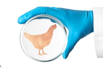 Lab-Grown Chicken - The Latest Silicon Valley Mess to Clean Up?