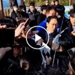 Man Stabs South Korean Politician