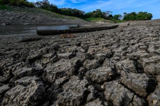 Panama Canal drought moves Maersk to start using land bridge for cargo