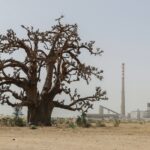 Senegal : Sendou power station arbitration case suspended