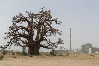 Senegal : Sendou power station arbitration case suspended