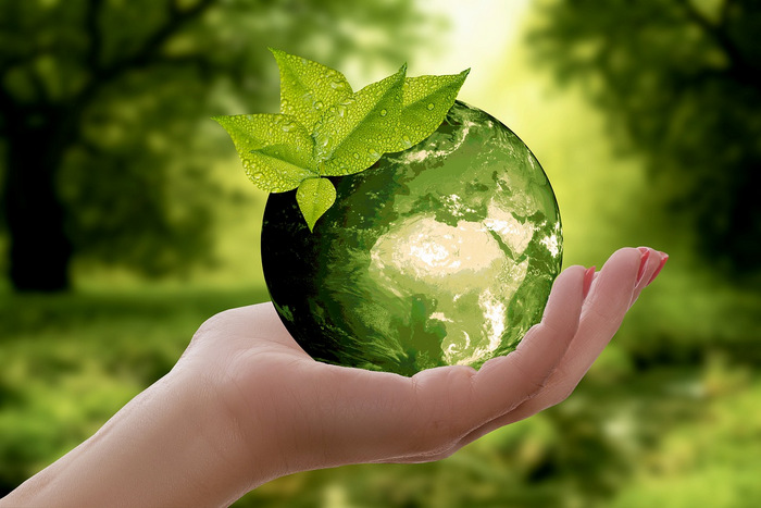 Sustainability in our present and beyond