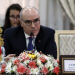 Tunisia : Foreign Minister Ammar plays president's most fervent supporter