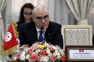 Tunisia : Foreign Minister Ammar plays president's most fervent supporter