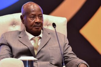 Uganda : Military operation in the North divides Museveni's party