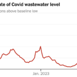 We Are in a Big Covid Wave. But Just How Big?