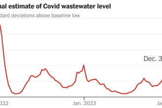 We Are in a Big Covid Wave. But Just How Big?