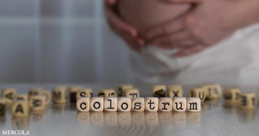 What Are the Wide-Ranging Health Benefits of Colostrum?