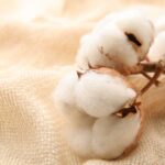 Why Opting for Organic Cotton Matters