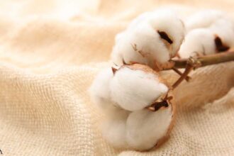 Why Opting for Organic Cotton Matters