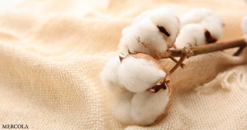 Why Opting for Organic Cotton Matters