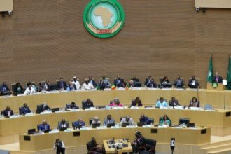 Africa : AU summit set to ignore continent's conflicts and political crises