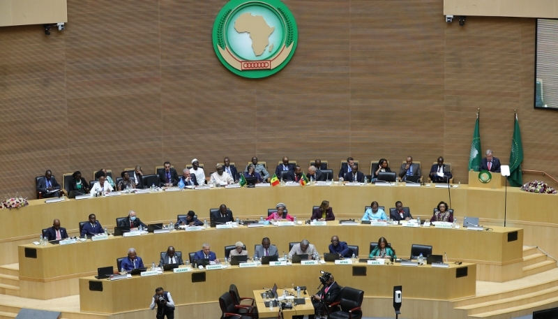 Africa : AU summit set to ignore continent's conflicts and political crises