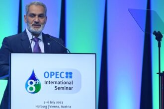 Africa : OPEC launches African charm offensive