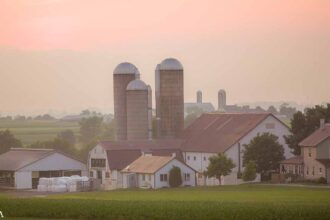 Amish Farmer Raided by Pennsylvania Department of Agriculture