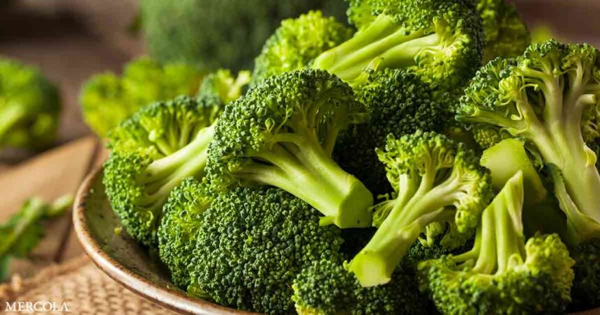 Broccoli Helps Heal Leaky Gut