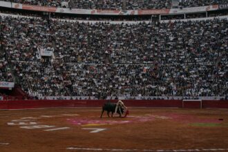 Bullfighting Returns to Mexico City. A Fight Over Its Future Goes On.