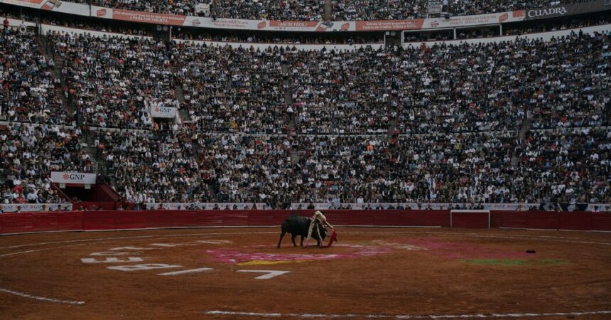 Bullfighting Returns to Mexico City. A Fight Over Its Future Goes On.