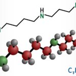 Can This Molecule Boost Fertility and Longevity in Aging Humans?