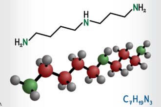 Can This Molecule Boost Fertility and Longevity in Aging Humans?