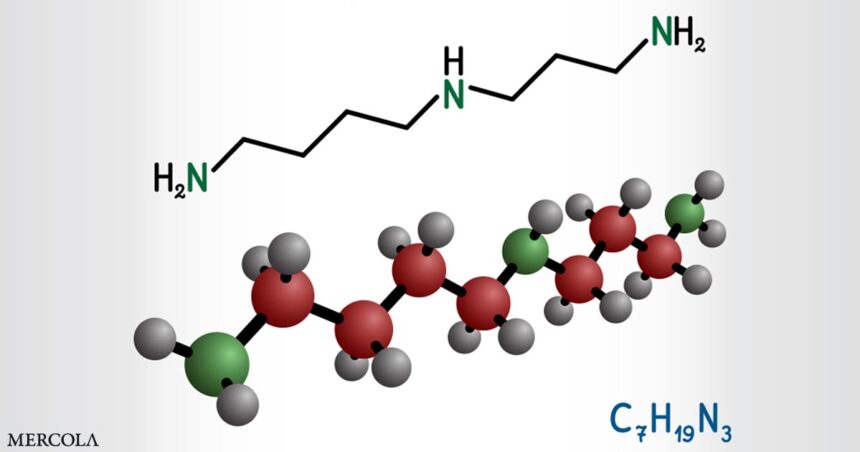 Can This Molecule Boost Fertility and Longevity in Aging Humans?