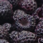 Can This Unique Raspberry Protect Your Heart?