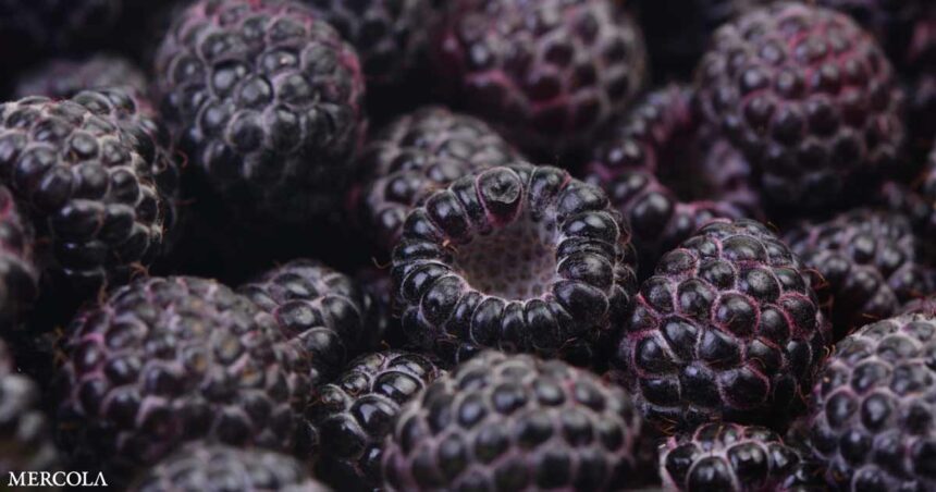 Can This Unique Raspberry Protect Your Heart?