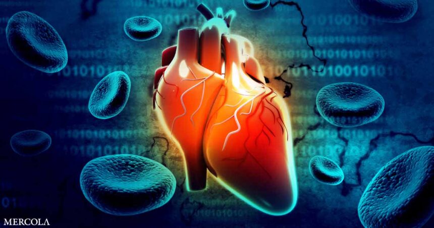 Cholesterol Isn't the Problem in Heart Disease: Inflammation Is