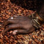 Cocoa prices surge to all-time highs as bad weather hurts West Africa crop yield