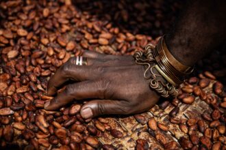 Cocoa prices surge to all-time highs as bad weather hurts West Africa crop yield