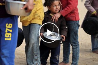 Gazan Family Eats Cactus Amid Food Shortage