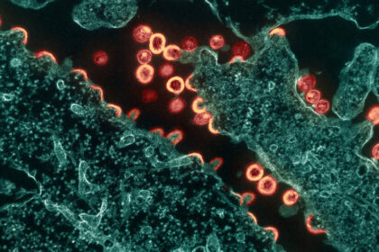 H.I.V. Groups Warn of Privacy Risks in How C.D.C. Tracks Virus Samples