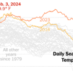 January Temperatures Hit Record Highs on Land and at Sea