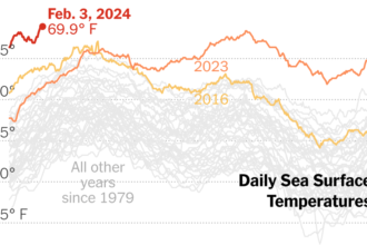 January Temperatures Hit Record Highs on Land and at Sea