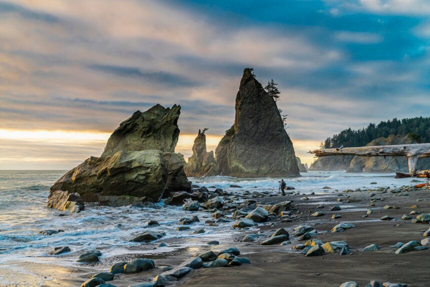 Man on Rialto Beach, Forks, Washington, USA.