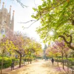 The Best Walking Tours in Barcelona