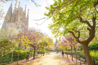 The Best Walking Tours in Barcelona